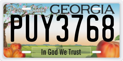 GA license plate PUY3768