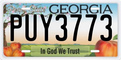 GA license plate PUY3773