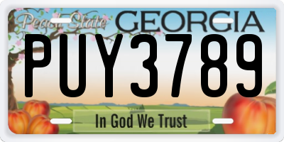 GA license plate PUY3789