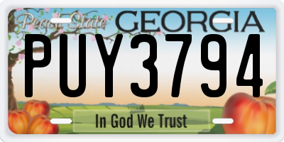 GA license plate PUY3794