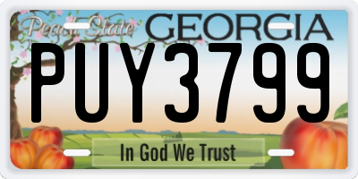GA license plate PUY3799