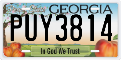 GA license plate PUY3814