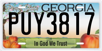 GA license plate PUY3817