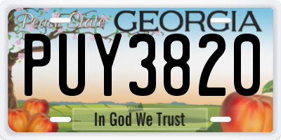GA license plate PUY3820