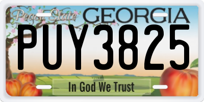 GA license plate PUY3825