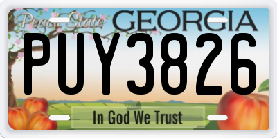 GA license plate PUY3826