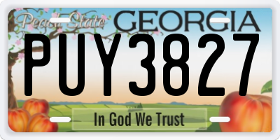 GA license plate PUY3827