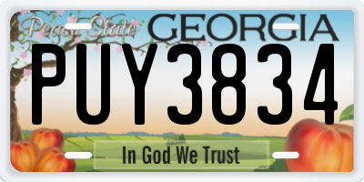 GA license plate PUY3834