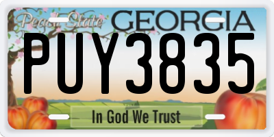 GA license plate PUY3835