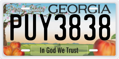 GA license plate PUY3838