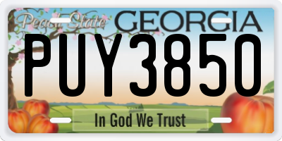 GA license plate PUY3850