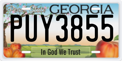 GA license plate PUY3855