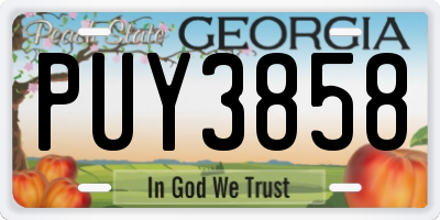 GA license plate PUY3858