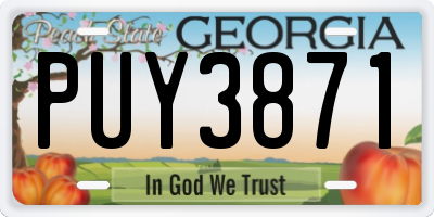 GA license plate PUY3871