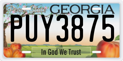 GA license plate PUY3875