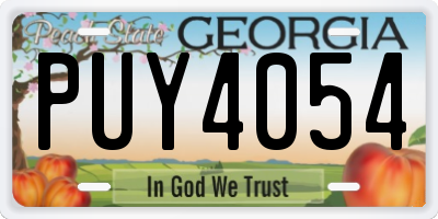 GA license plate PUY4054
