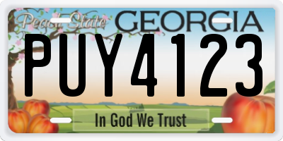 GA license plate PUY4123