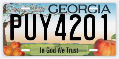 GA license plate PUY4201