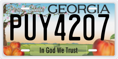 GA license plate PUY4207