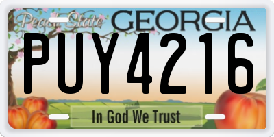 GA license plate PUY4216