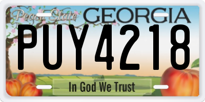 GA license plate PUY4218