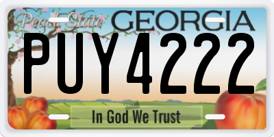 GA license plate PUY4222