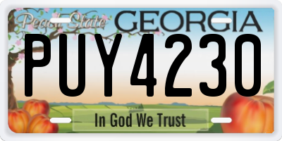 GA license plate PUY4230