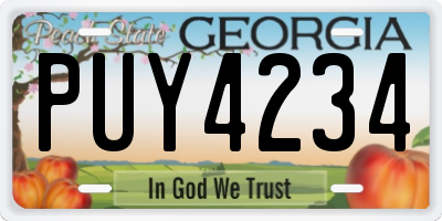 GA license plate PUY4234
