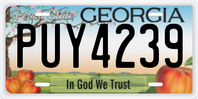 GA license plate PUY4239