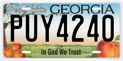 GA license plate PUY4240