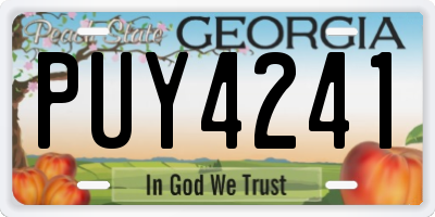 GA license plate PUY4241