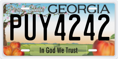 GA license plate PUY4242