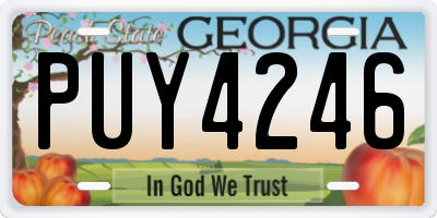GA license plate PUY4246