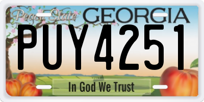 GA license plate PUY4251