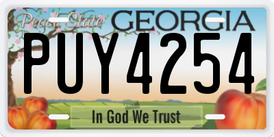 GA license plate PUY4254