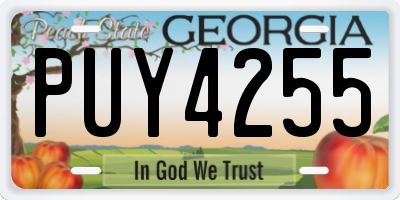 GA license plate PUY4255