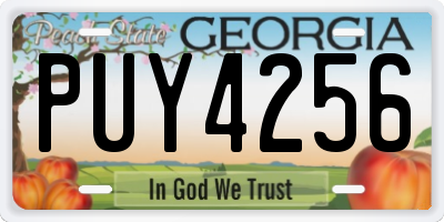 GA license plate PUY4256