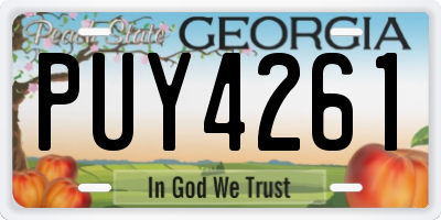 GA license plate PUY4261
