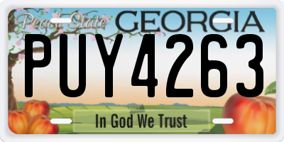 GA license plate PUY4263