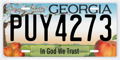 GA license plate PUY4273