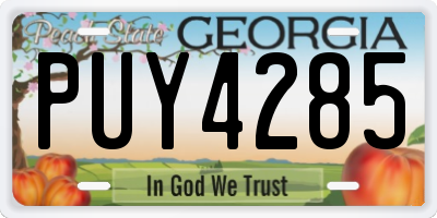 GA license plate PUY4285