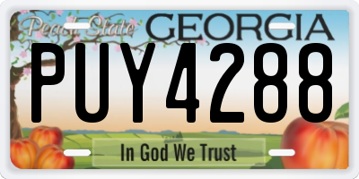 GA license plate PUY4288