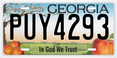 GA license plate PUY4293