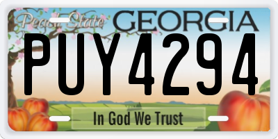 GA license plate PUY4294