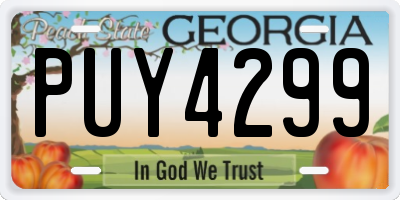 GA license plate PUY4299