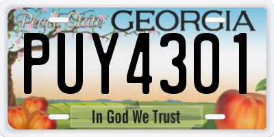 GA license plate PUY4301