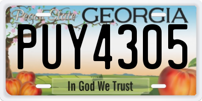GA license plate PUY4305