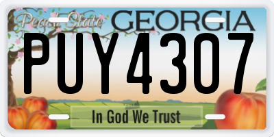 GA license plate PUY4307