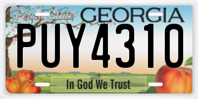 GA license plate PUY4310