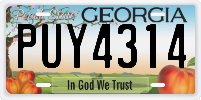 GA license plate PUY4314